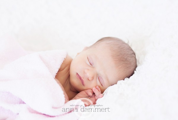 Valokuvaaja Anna Dammertin valokuva vastasyntyneestä vauvasta